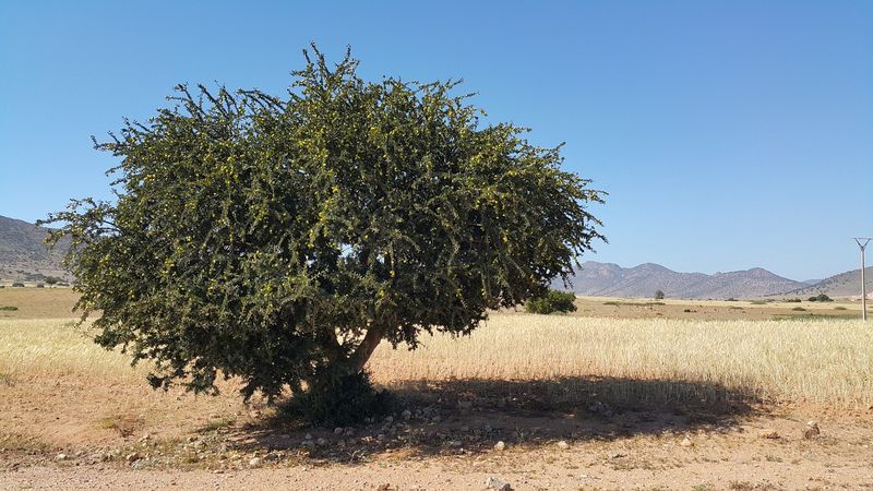 morocco-827830_1280