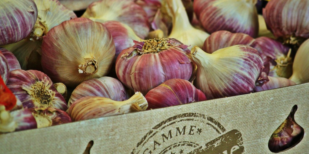 garlic-868878_1920